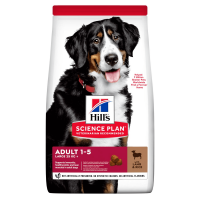 14kg HILL'S SCIENCE PLAN Large Breed Adult Hundefutter mit Lamm und Reis