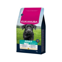 3 kg Eukanuba Adult Large (WEG=WEG, max 2 pro Bestellung)