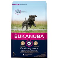 Eukanuba Hundefutter mit frischem Huhn für grosse Rassen Premium Trockenfutter für Junior Hunde 15 kg