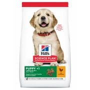 11 kg Hills Canine Puppy Large Breed