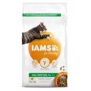 3 kg Iams Katze Adult mit Huhn