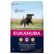 Eukanuba Hundefutter mit frischem Huhn für grosse Rassen Premium Trockenfutter für Junior Hunde 15 kg