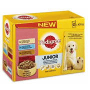 Pedigree Junior Multipack in Gelee 12x100 gr