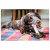 Nylabone Durachew Bone Wolf M - Hundespielzeug - Weiß