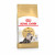 Royal Canin Persian Adult - Katzenfutter - 4 kg