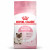 Royal Canin Mother & Babycat - Kitten-Katzenfutter - 4 kg
