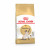 Royal Canin Siamese Adult - Katzenfutter - 2 kg