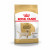 Royal Canin Labrador Retriever Adult - Hundefutter - 3 kg