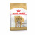 Royal Canin Bulldog Adult - Hundefutter - 3 kg