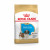 Royal Canin Shih Tzu - Welpen-Hundefutter - 1,5 kg