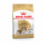 Royal Canin Cavalier King Charles Adult - Hundefutter - 1,5 kg