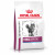 Royal Canin Veterinary Diet Renal Special - Katzenfutter - 4 kg