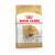 Royal Canin Mops (Mops) Adult - Hundefutter - 1.5 kg