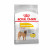 Royal Canin Dermacomfort Medium - Hundefutter - 3 kg