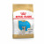 Royal Canin French Bulldog - Puppy-Hundefutter - 3 kg