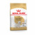 Royal Canin West Highland White Terrier Adult - Hundefutter - 3 kg