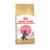 Royal Canin Maine Coon Kitten - Kitten-Katzenfutter - 2 kg