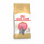 Royal Canin British Shorthair Kitten - Kitten-Katzenfutter - 10 kg