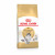 Royal Canin Norwegische Waldkatze Adult - Katzenfutter - 2 kg