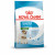 Royal Canin Mini Starter Mother & Babydog - Welpen-Hundefutter - 4 kg