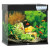 Juwel Aquarium Lido 120 Led 61x41x58 cm - Aquarien - Schwarz Ca. 120 L