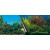 Europet Bernina Rückwandposter Beauty Mit Meer - Aquarium - Rückwand - 120x50 cm