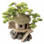 Aqua Della Bonsai Haus - Aquarium - Ornament - 20x15.5x20 cm