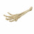 Aqua Della Skelett Hand - Aquarium - Ornament - 26.8x9.4x4.5 cm