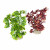 Aqua Della Decor Pflanze Anubias Nana - Aquarium - Kunstpflanze - 25 cm Sortiert