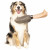 Dgs Hundeputzhandschuh - Hundepflege - 30 cm 180 g Grau Os