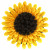 Adori Sunflower Spielmatte - Spielzeug - Ø30x30 cm Gelb Braun