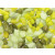 Vdl Aquariumkies Glamour 5-10 Mm - Aquarium - Zierkies - Grün