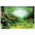 Superfish Deco Poster - Aquarium - Ornament - 120X61 cm Aquascape Pflanze