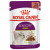 Royal Canin Sensory Multipack Smell - In Soße - Katzenfutter - 12x85 g