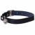 Adori Katzenhalsband 1.4x30 cm - Katzenhalsband - Blau