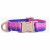Dogguo Gradient Halsband Lila&Rosa - Hundehalsband - L Große Hunde