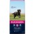 3 kg Eukanuba Adult Large (WEG=WEG, max 2 pro Bestellung)