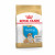 Royal Canin BHN Bulldog Puppy 12kg