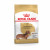 Royal Canin BHN Dachshund Adult 1.5kg