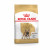 Royal Canin BHN French Bulldog Adult 3kg