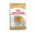 Royal Canin BHN Jack Russell Terrier Adult 1.5kg