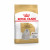 Royal Canin BHN Maltese Adult 1.5kg