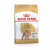 Royal Canin BHN Poodle Adult 1.5kg