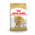 Royal Canin BHN Poodle Adult 7.5kg