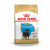 Royal Canin BHN Rottweiler Puppy 12kg