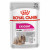 Royal Canin CCN Exigent Wet 12x85g