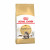 Royal Canin FBN Maine Coon Adult 10kg