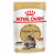 Royal Canin FBN Maine Coon Adult Wet 12x85g