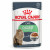 Royal Canin FCN Digest Sensitive in Gravy