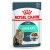 Royal Canin FCN Urinary Care in Gravy 12x85g